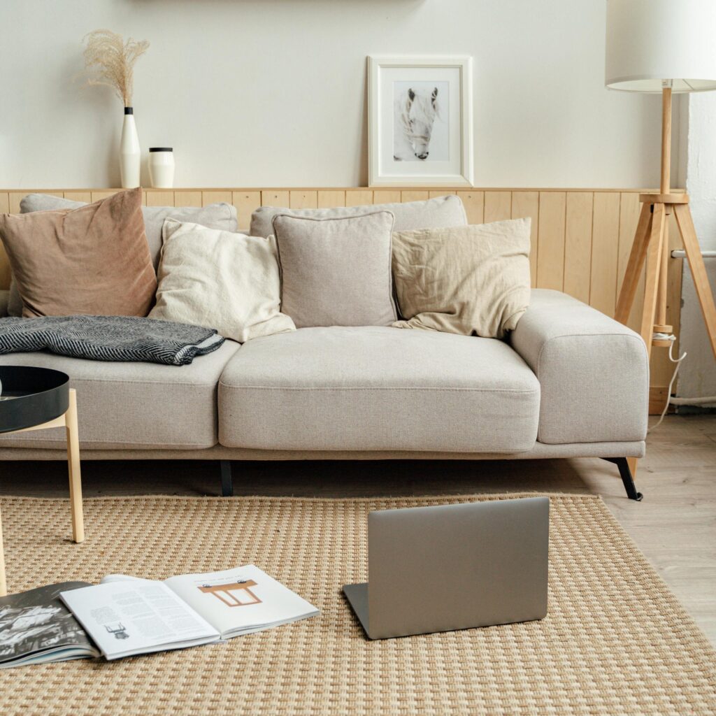 Divan gris avec tapis beige